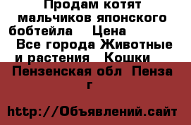 Продам котят мальчиков японского бобтейла. › Цена ­ 30 000 - Все города Животные и растения » Кошки   . Пензенская обл.,Пенза г.